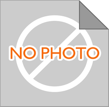 粉砂岩 乱型
