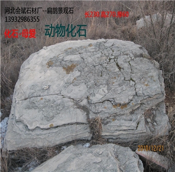 扁鹊景观石