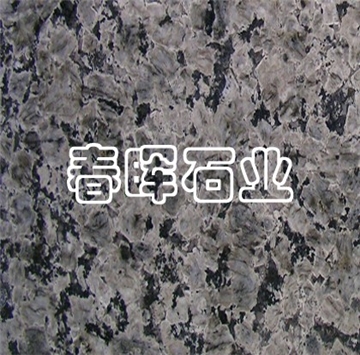 蓝豹