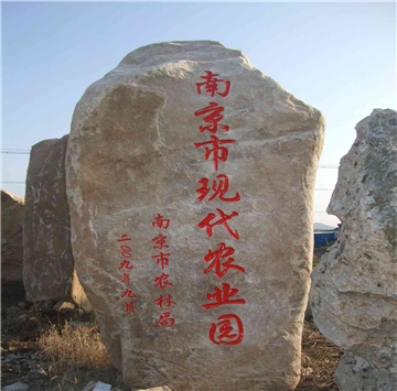 刻字石、太湖石、千层石、鹅卵石、黄石