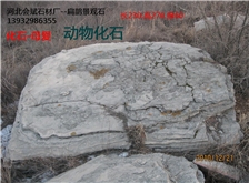 扁鹊园林石