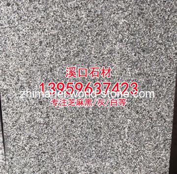 金点灰麻